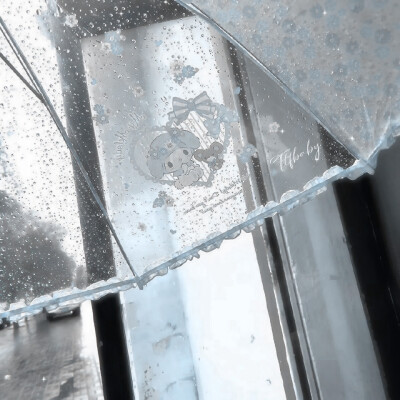 ₍ᐢᓀ ̫ᓂᐢ₎ ₊˚⊹♡ 