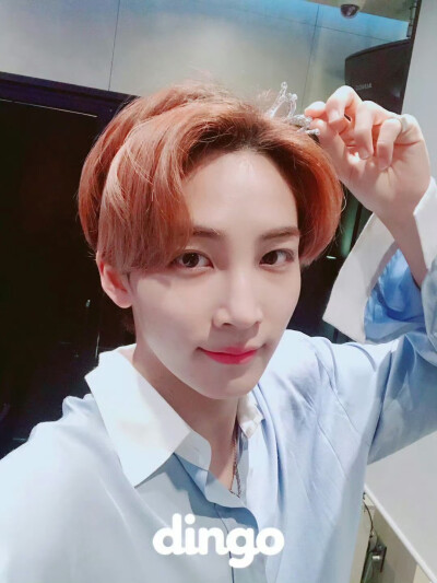 尹净汉 180728 dingo更新