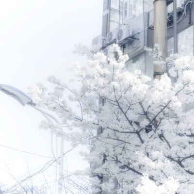 我赠你一条满是破孔的木船如果你能抵达湖心 那我便为你在湖心中央建立只属于你的小岛