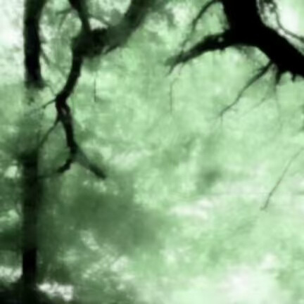 别偷我图 图偷的走 天赋偷的走吗？