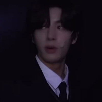 沈载伦