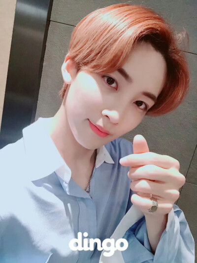 尹净汉 180728 dingo更新