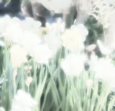 春天来的很慢，春天才有浪漫