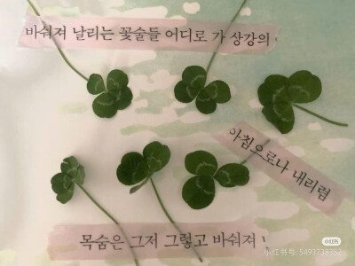 古早四叶草壁纸