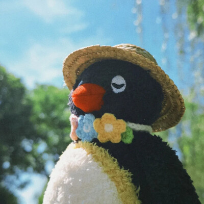 头像