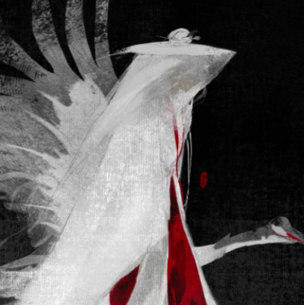 嗯我翻了一下历史头像