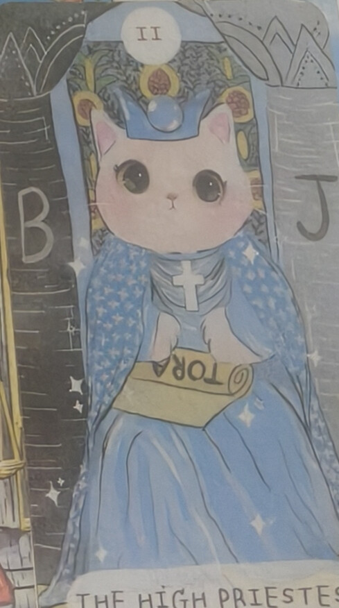 月城的尽头有座无窗神殿，殿中央悬着一块黑曜石镜，镜面只映出观者心底最幽暗的门。第二任女祭司伊瑟便守于此，她不言、不书，只在每月朔月之夜，让唯一访客立于镜前。若那人敢直视自己被隐藏的部分，镜中便浮现一枚空白贝壳；若他转身逃避，神殿即沉入更深的黑暗。
三百年后，一名失明琴师循着月声而来。伊瑟引他抚镜，他看不见，却听见镜中传来自己未奏出的旋律——那是他母亲临终前未唱完的摇篮曲。泪水落在贝壳上，乐音凝成一条银线，缠上他手腕，化作黑猫。
伊瑟将猫抱入怀中，黑曜石镜忽然碎裂，月光如潮涌出，整座神殿化为一副塔罗牌。猫跃上牌背，瞳孔里映着未来所有秘密。从此，女祭司不再端坐神殿，而成为牌面背后那道不可见的门。当你占卜时，她借你之口向自己发问；唯有在静默里，才听得见心底那条隐秘的河流。