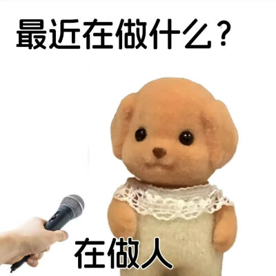表情