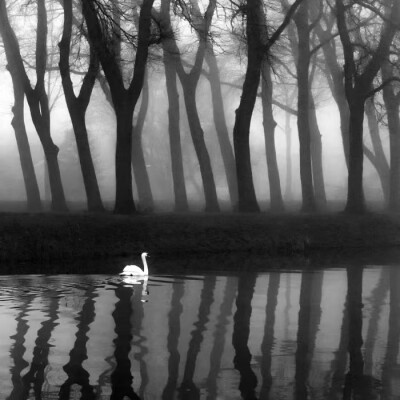 程述宝宝送的面面