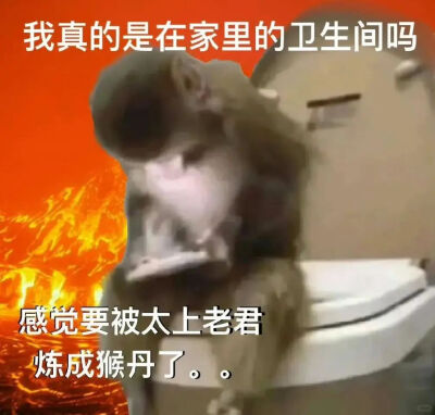表情包