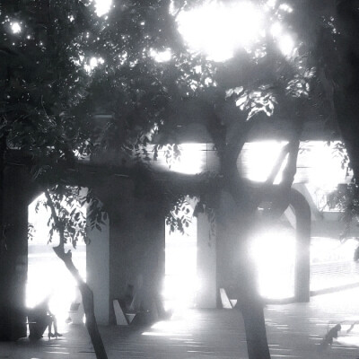 雨伞柄挂着未融化的雪、我们中间隔着叹息的雾