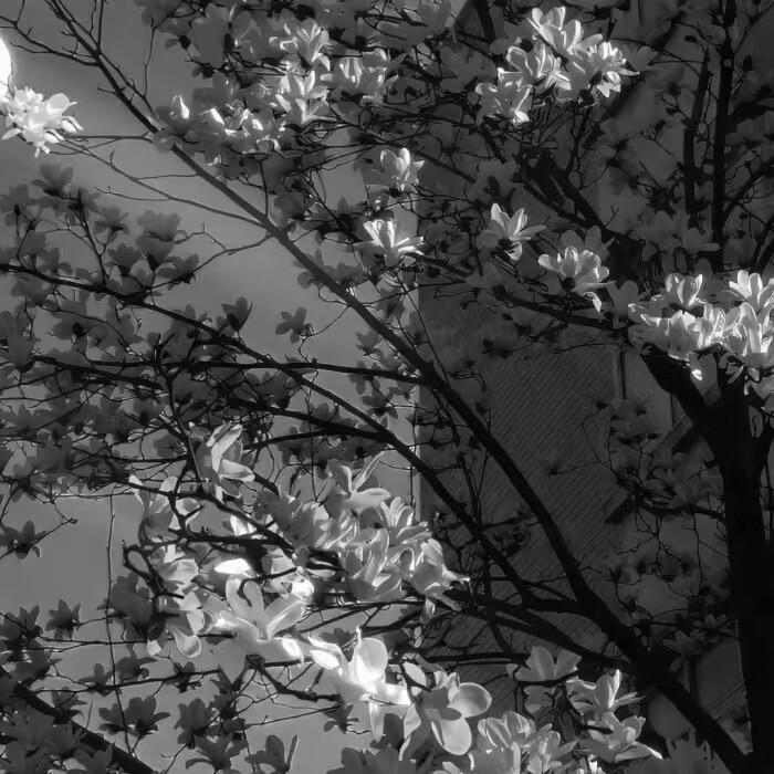 程述宝宝送的面面