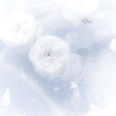 我赠你一条满是破孔的木船如果你能抵达湖心 那我便为你在湖心中央建立只属于你的小岛