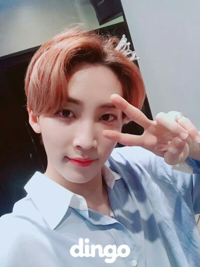 尹净汉 180728 dingo更新