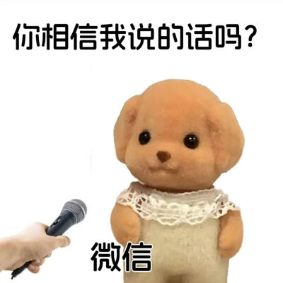 表情