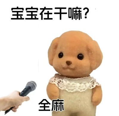 表情