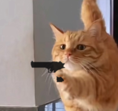 猫猫 搞怪 抽象 头像