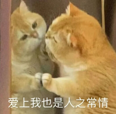 表情