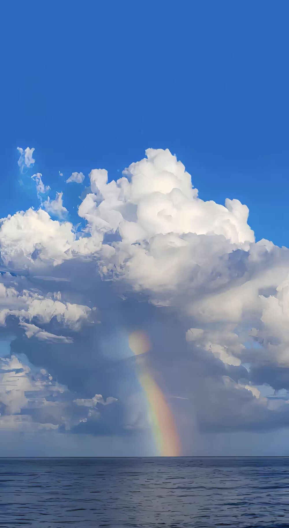 蜡笔小新大作战