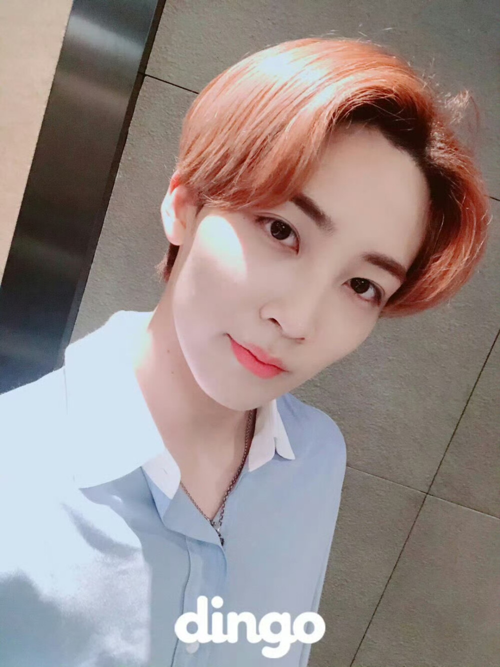 尹净汉 180728 dingo更新