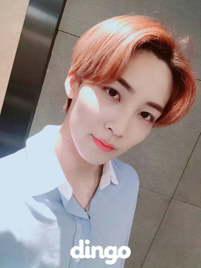 尹净汉 180728 dingo更新