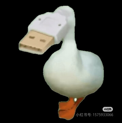 表情包