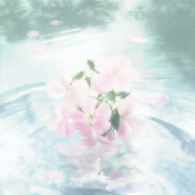 春天来的很慢，春天才有浪漫