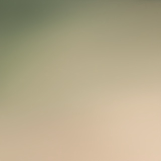 时衍的图好美（踢走其他小狗）（跑到面前摇尾巴）（又有其他小狗来）（和其他小狗打架）（踢走其他小狗）（满身伤痕摇尾巴）