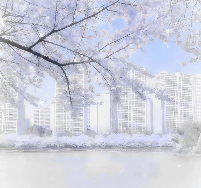 열일곱 살 상처—《十七岁》*窗外的雨