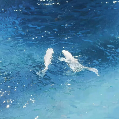 蓝色系背景图