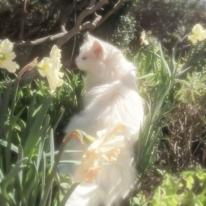 幸運がドアをノツクしている