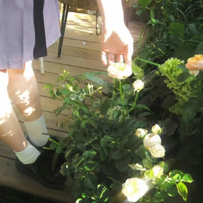 幸運がドアをノツクしている