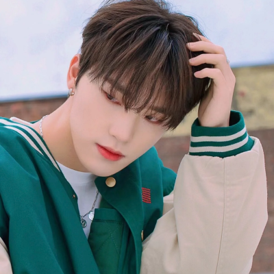 SEVENTEEN-李灿dino