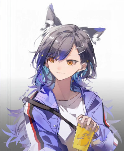 杏豆 世界计划