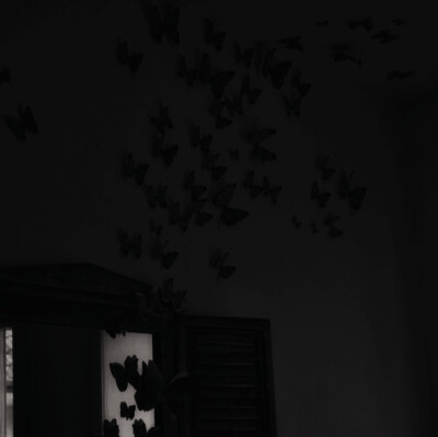 同我啜泣 共我悲鸣