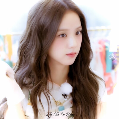 我只守着我的枯木 再难爱上下一个春