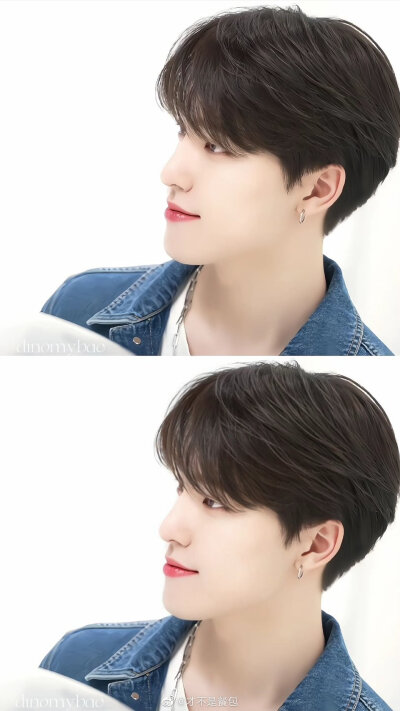 SEVENTEEN-dino李灿