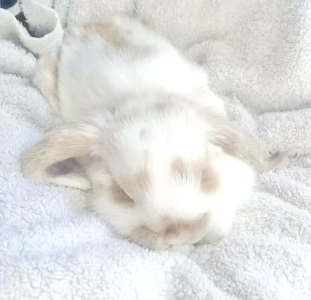 周哪个栯？周这个栯