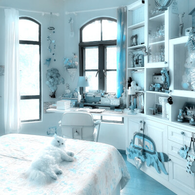 这个椰这个颂呀 人怎么那么好 奖励一个xxx