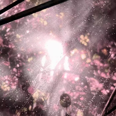 程憩宝宝の
