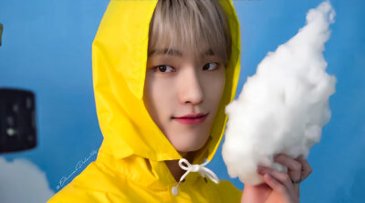 SEVENTEEN-dino李灿