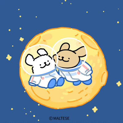 小狗全宇宙