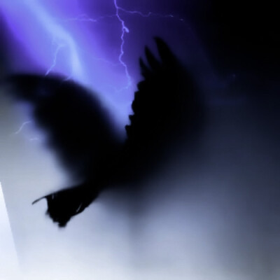 大家都来看深情眼