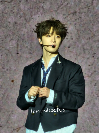 SEVENTEEN-李灿dino