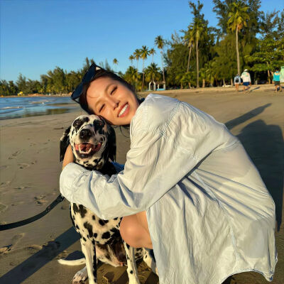 骗人的永远是人 不是小狗