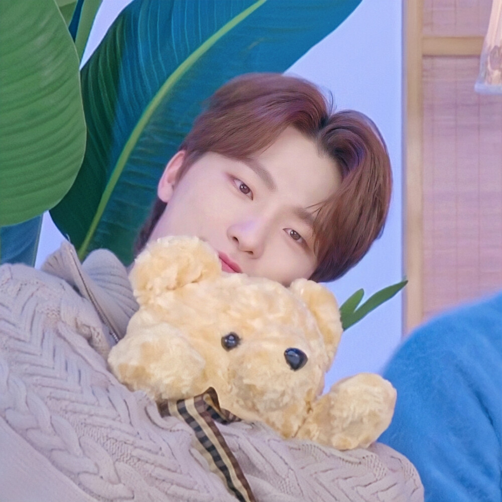 SEVENTEEN-李灿dino