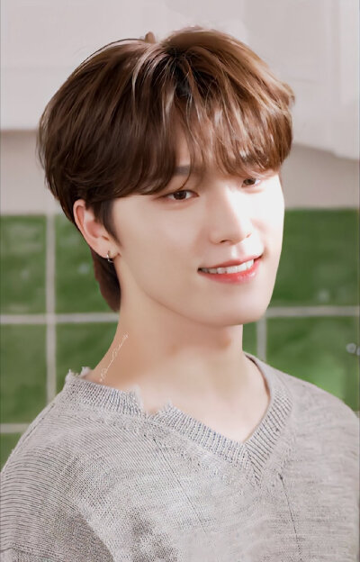 SEVENTEEN-dino李灿