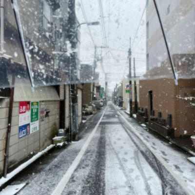 海面上の風 -《Viento en la orilla》闭眼 *垂落