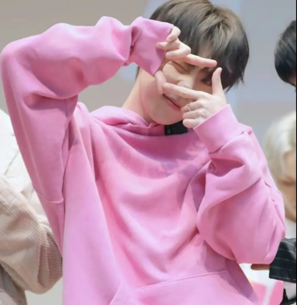 SEVENTEEN-李灿dino