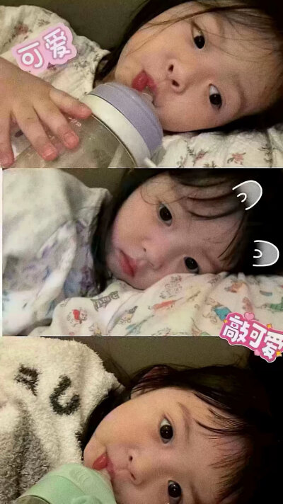 壁纸